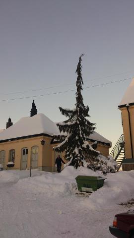 Nu var det ju områdets finaste gran vi ville ha, men hågelby tar ändå priset för den fulaste.